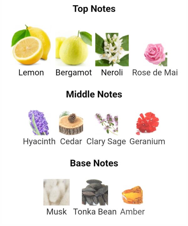 VERSACE POUR HOMME EDT
فيرساتشي بور اوم او دو تواليت