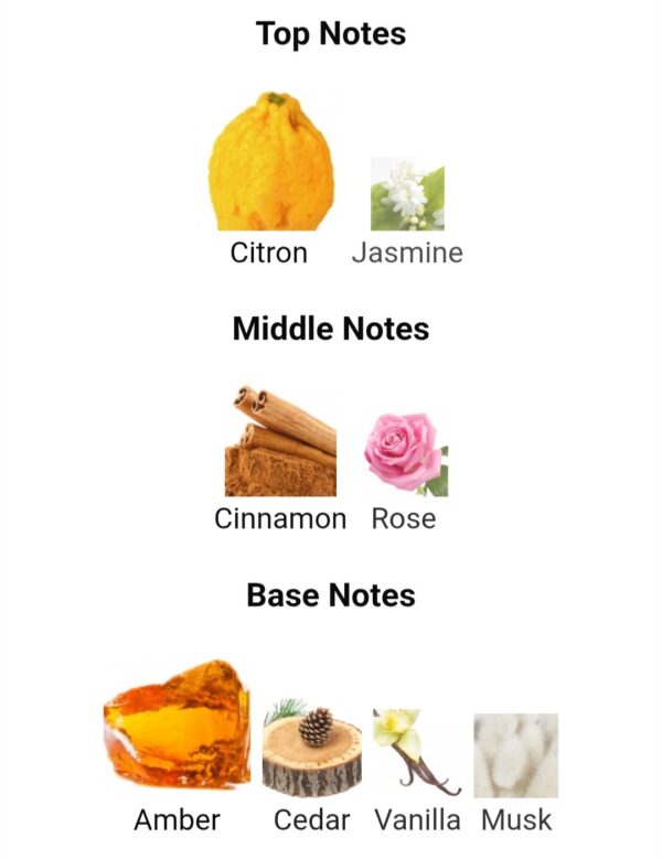 Arabian Knight Arabian Oud
فارس العربية من العربية للعود دهبي