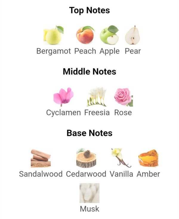 Musk Rose Arabian Oud 100ml
مسك روز من العربية للعود ١٠٠ملي