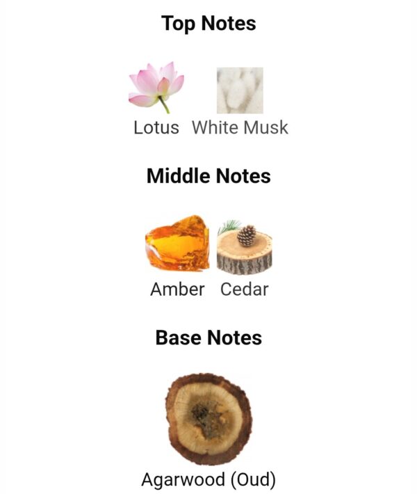 WOODY STYLE ARABIAN OUD
وودي ستايل من العربية للعود