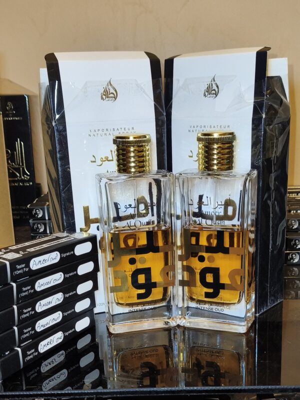 Ameer Eloud Intense (10ml)
امير العود انتنس (١٠ملي)