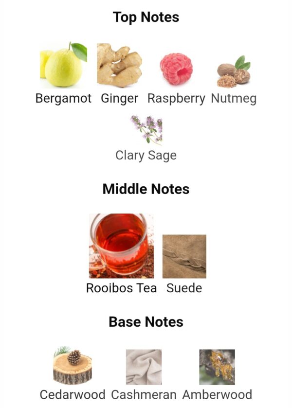 DYNASTY
ديناستي من لطافة