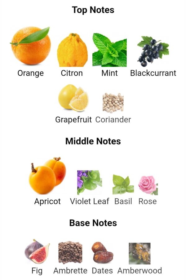 Rare Reef Afnan
رير ريف من أفنان