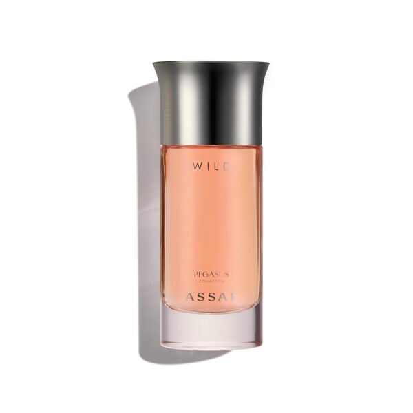 Wild Pegasus ASSAF 100ml
وايلد بيجاسوس من ( عساف ) ١٠٠ملي