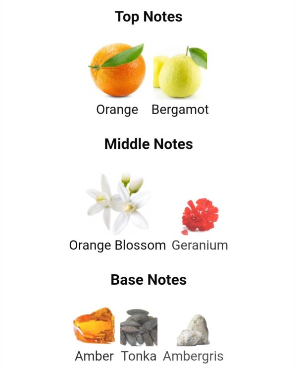 Arrogate Addict ASSAF 200ml
اروجيت اديكت من عساف ٢٠٠ملي