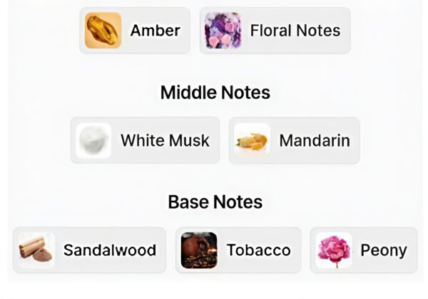 Roshn THNYAN RIYADH 125ML
روشن من ثنيان (١٢٥ملي)