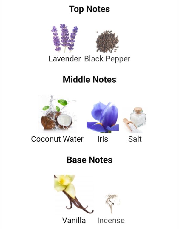 ASAD ZANZIBAR
اسد زنزبار من ( لطافة )