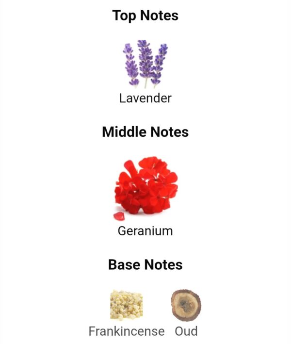Gissat Al Najah Kiamichi
قصة النجاح من عربيات بريستيچ
