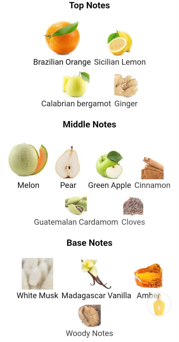 AL Majd Le Falcon 85ml
المجد من لو فالكون ٨٥ملي