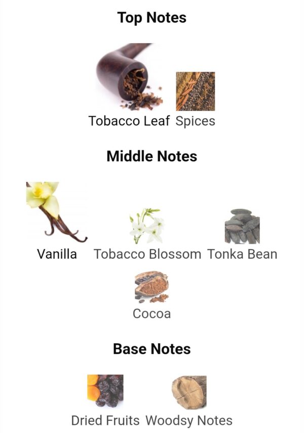 Charuto Tobacco Vanilla 100ml
تشاروتو توباكو فانيلا من بيندورا باريس