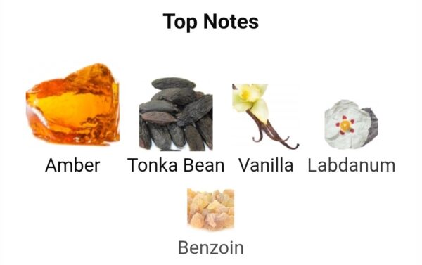 Amber Grand Pendora 100ml
عنبر جراند من بيندورا باريس كورنر ١٠٠ملى