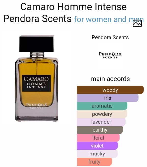 Camaro Homme Intense
كامارو اوم انتنس من  بيندورا باريس