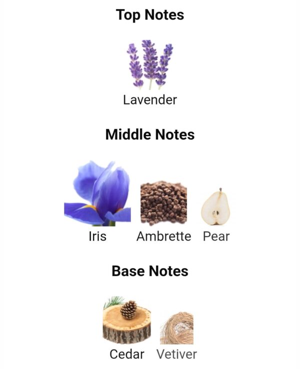 Camaro Homme Intense
كامارو اوم انتنس من  بيندورا باريس