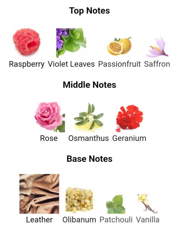 Maestros Symphony Paris
مايسترو سينفوني من ( باريس كورنر )