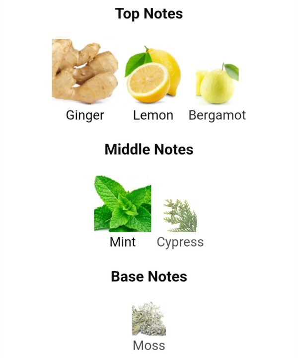 Mawj Moscow Mule Paris
موچ موسكو مولي من ( باريس كورنر )