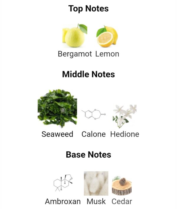 A Chaos In The Ocean Valar
كيوس ان ذا اوشن من ( فالار  باريس )