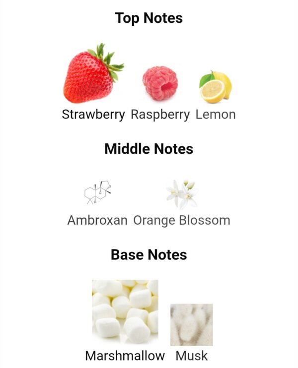 Marshmallow Blush Paris Corner
مارشميلو بلش من ( باريس كورنر )