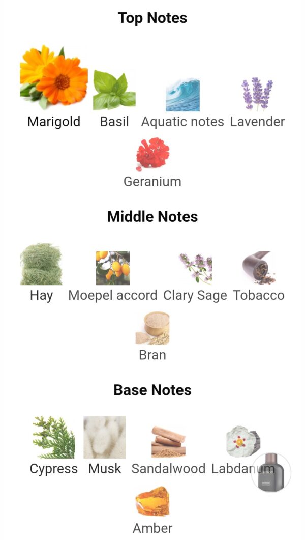 Suspenso Intense Pour Homme
سوصبينسو انتنس من فراجرانس وورلد