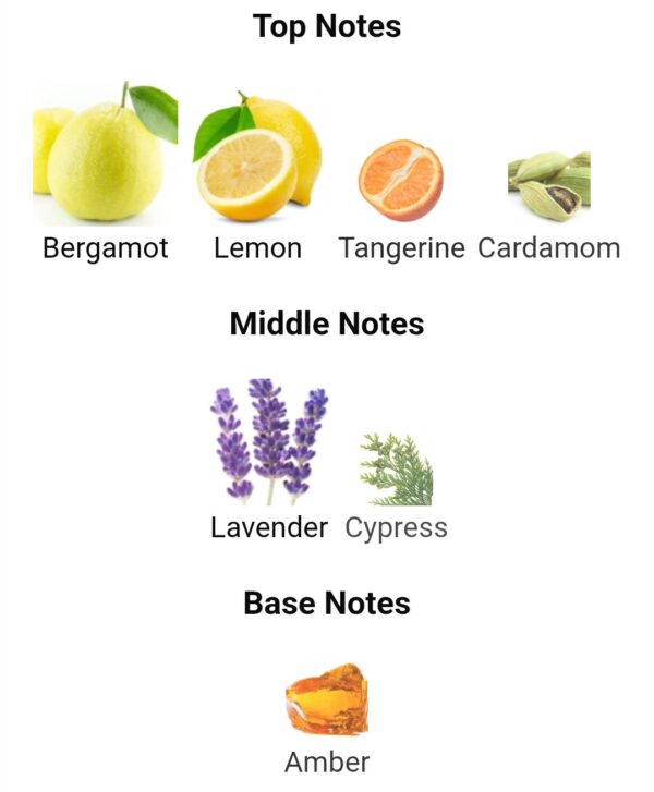 Pacific Rayhaan 100ml
باسيفيك ريحان ١٠٠ملي