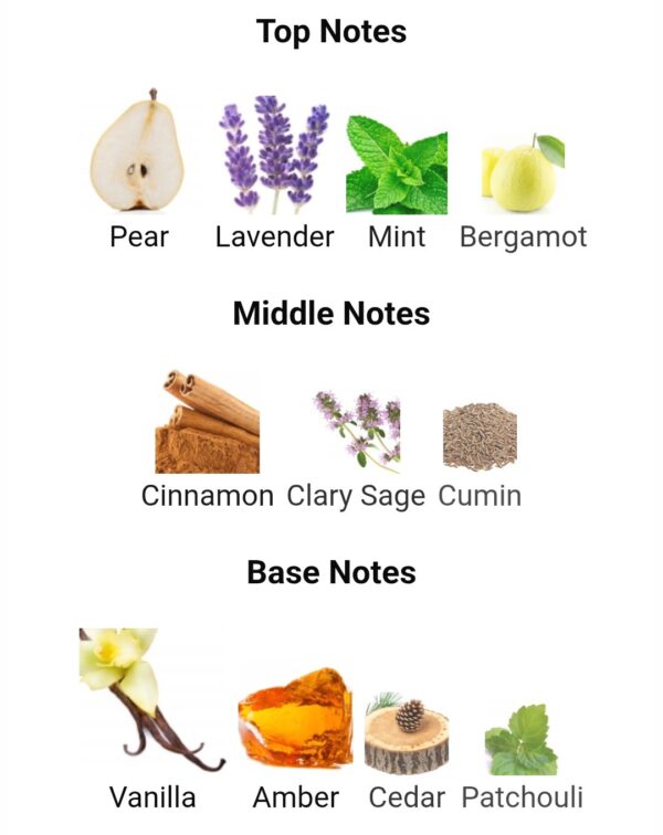 Lion Rayhaan
لايون ريحان