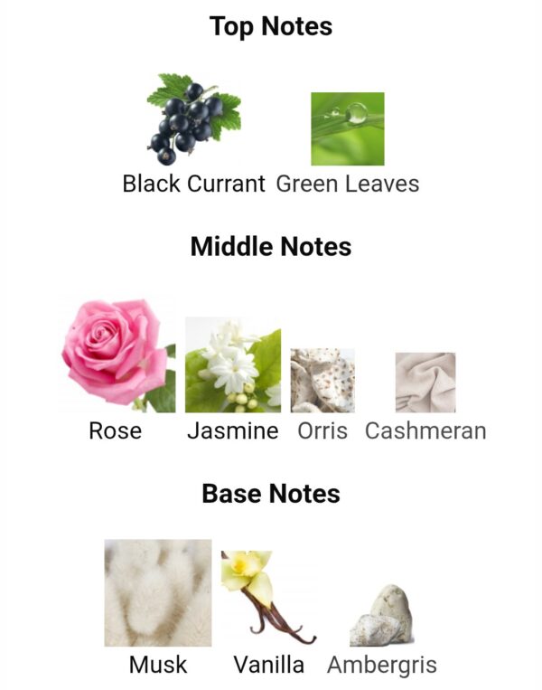 Miss Laverne for your bag
(100ml+10ml)
ميس لافيرن حقيبتك ( عطر ١٠٠ملي / دلايه ١٠ملي )