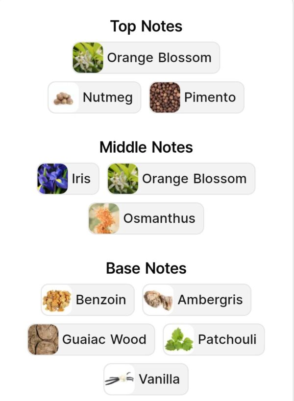 Sweet Land Ezz Oud (200ml)
سويت لاند من العز للعود (٢٠٠ملي)