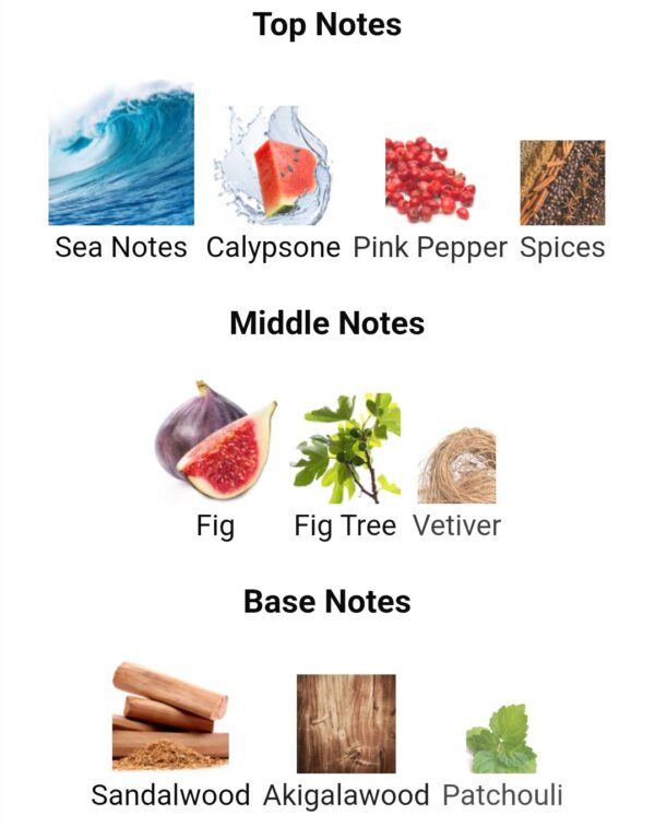 KENZO EDT INTENSE 110ML
كينزو اي دي تي انتنس ١١٠ملي