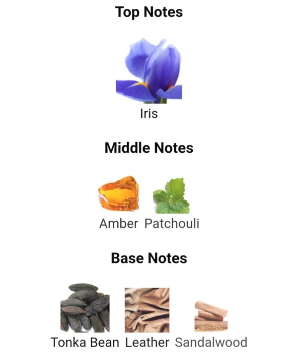 Prada L'Homme Intense 100ml
برادا لوم انتنس ١٠٠ملي