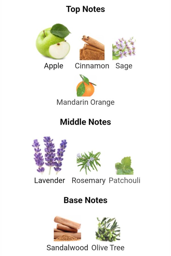 Hugo Boss Bottled Infinite Tester EDP 100ml
هوجو بوس بوتلد انفينيت تستر بوكس ١٠٠ملي