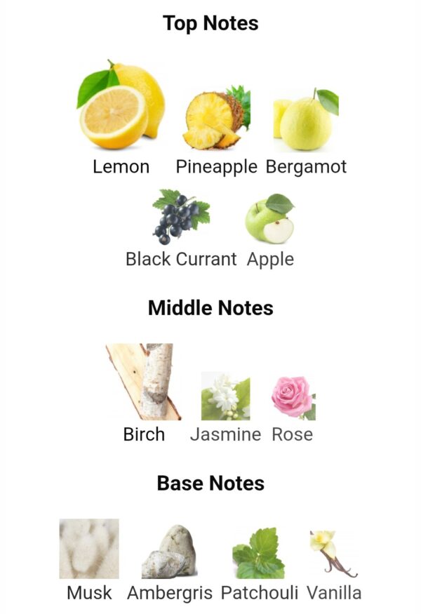 Club De Nuit Intense Man EDT 105ml Armaf
كلوب دي نوي انتنس او دو تواليت ١٠٥ملي