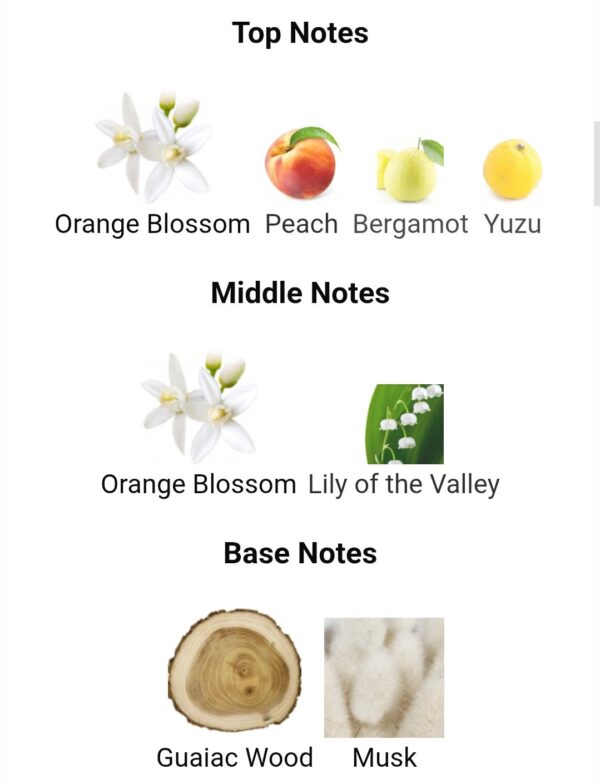 Orchid Valley 200ml Laverne
اوركيد فالي من لافيرن ٢٠٠ملي