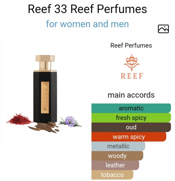 REEF 33
ريف ٣٣