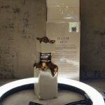 2026/01/1000265986.jpg Eclaire 50ml