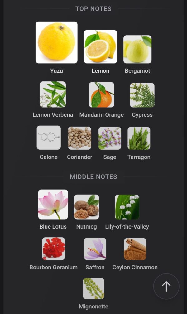 L'Eau d'Issey Pour Homme Issey Miyake EDT 125ml
لو ديسي بور اوم اي سي مياكي ١٢٥ملي