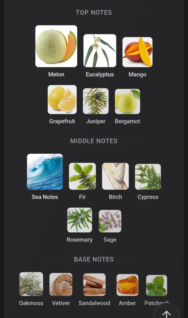 Escape For Men CK EDT 100ml
اسكاب فور مين كلفن كلاين او دو تواليت