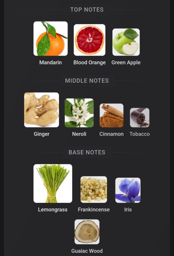 French Tobacco Ibraq 100ml
فرينش توباكو من ابراق ١٠٠ملي