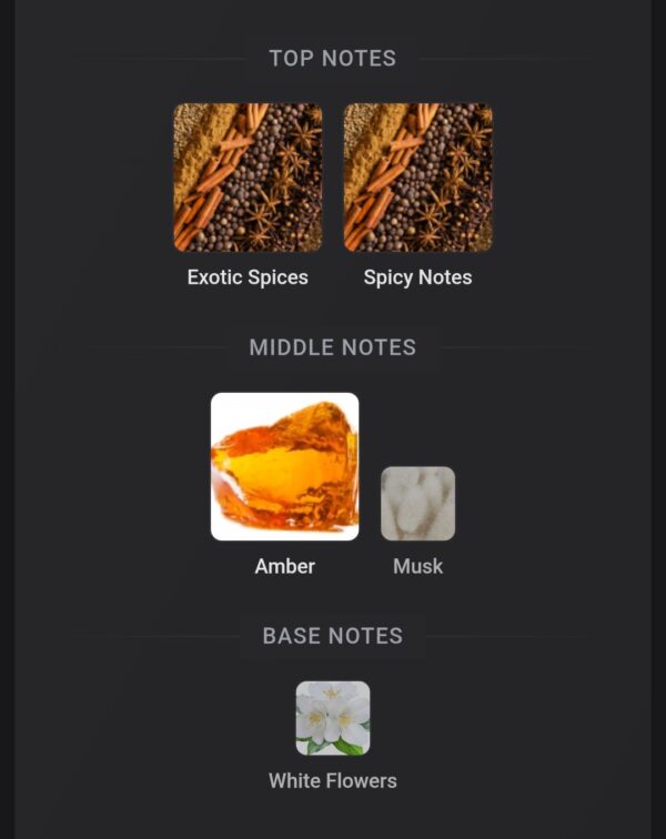 Dkhoon Amber 100ml
دخون عنبر ١٠٠ملي