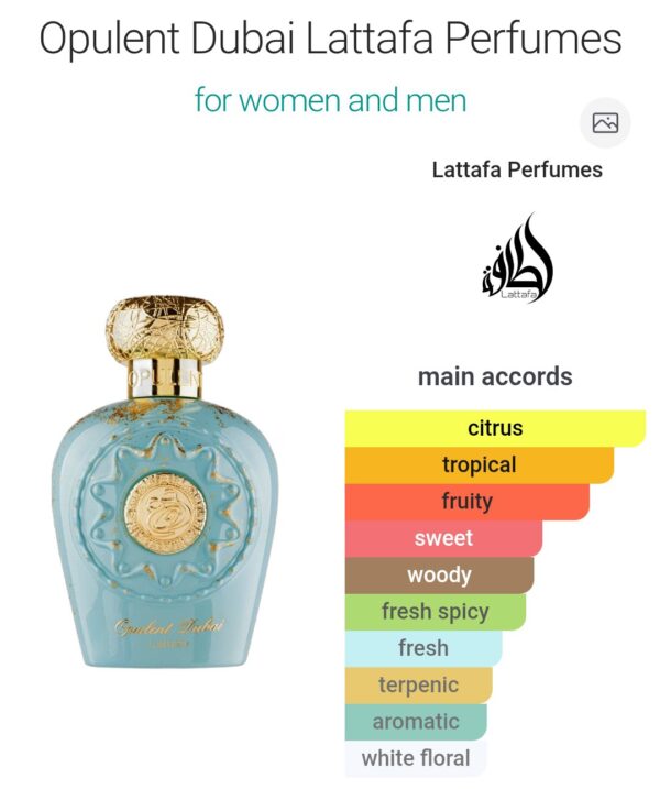 Opulent Dubai 100ml
اوبلينت دبي ١٠٠ملي
