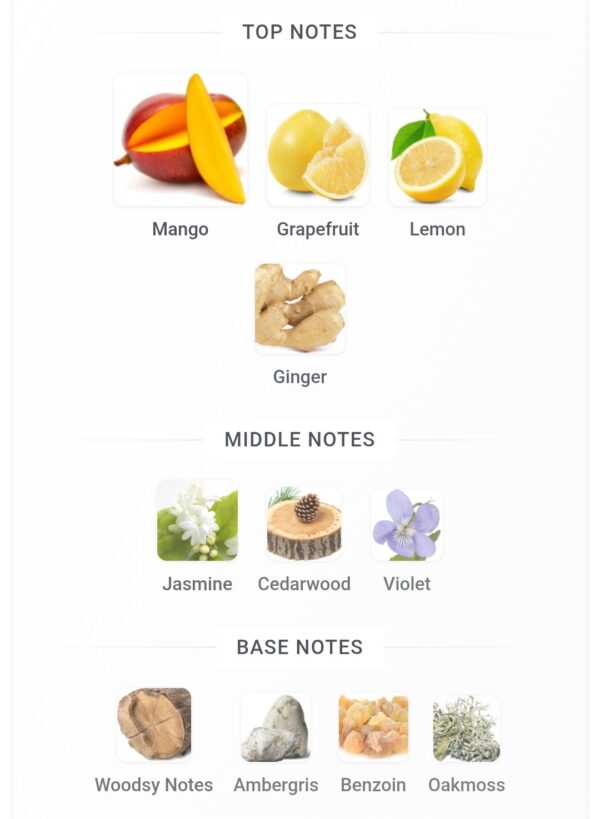 Opulent Dubai 100ml
اوبلينت دبي ١٠٠ملي