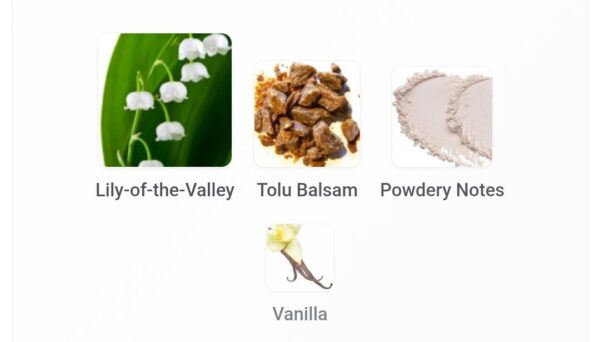 Musk Silk Ajmal 12 grams
مسك سلك من اچمل توله ١٢ جرام