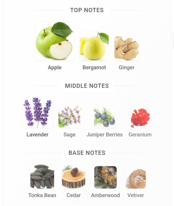 Fakhar Lattafa Black 100ml
فخر لطافة ١٠٠ملي