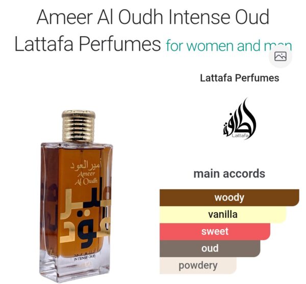 Ameer Al Oudh Intense 100ml
امير العود انتنس ١٠٠ملي