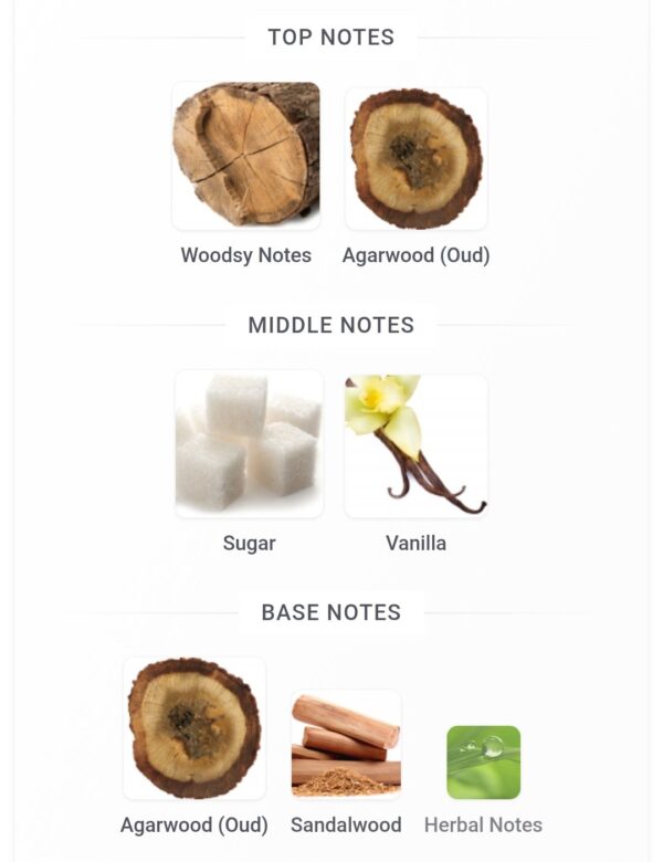 Ameer Al Oudh Intense 100ml
امير العود انتنس ١٠٠ملي