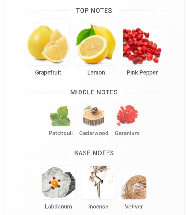 Arrogate Blue De Assaf 200ml
اروجيت بلو دي عساف ٢٠٠ملي