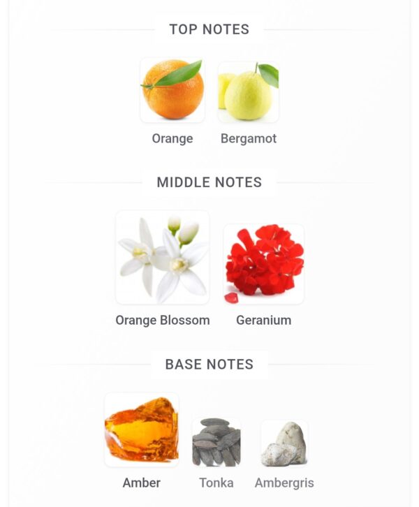 Arrogate Addict Assaf 200ml
اروجيت اديكت عساف ٢٠٠ملي