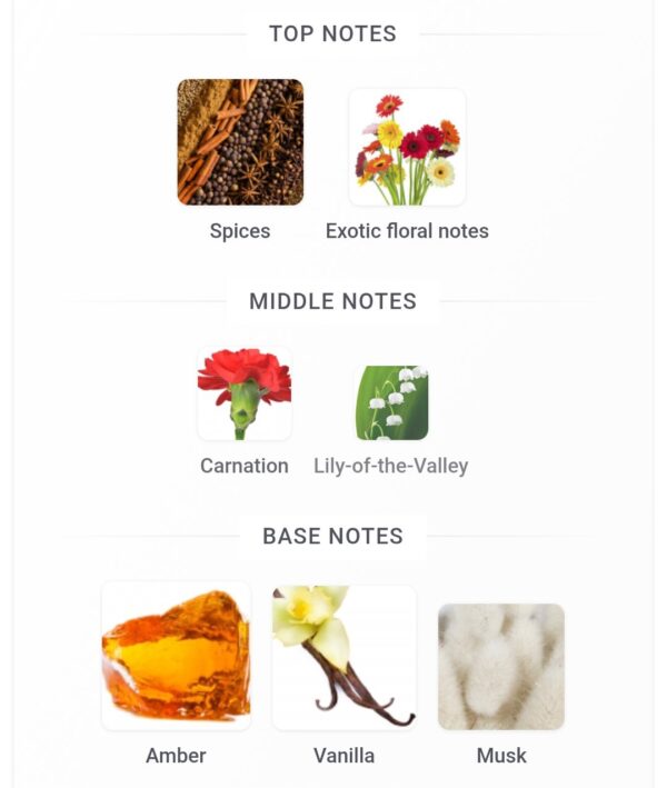 Rosendo Mateu N 5 100ml
روسيندو ماتيو نوم فايف ١٠٠ملي