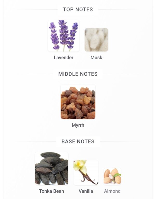 Musk Al Lail Ibraq 75ml
مسك الليل من ابراق ٧٥ملي