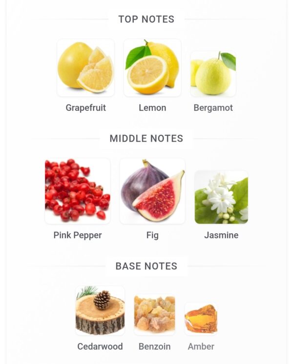 The Story Sport Le Bonheur 100ml
ذا ستوري سبورت من لابونير الماس ١٠٠ملي