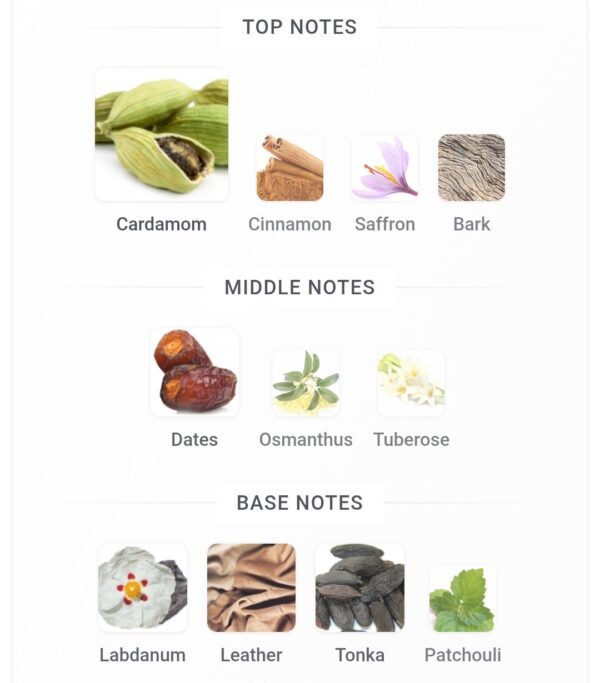 Prime 26 Le Bonheur 100ml
برايم ٢٦ من لابونير الماس ١٠٠ملي