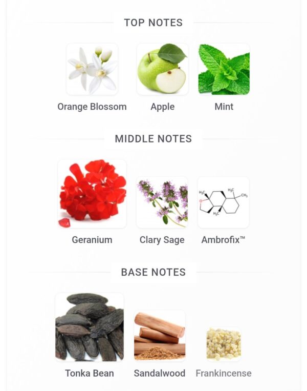 Imperial Blue Riffs 100ml
امبيريال بلو من ريفس ١٠٠ملي